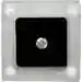 Clear Acrylic Magnetic Gem Holder with Reversible Black/White Insert